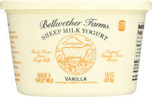 BELLWETHER FARMS: Sheep Milk Yogurt Vanilla, 16 oz