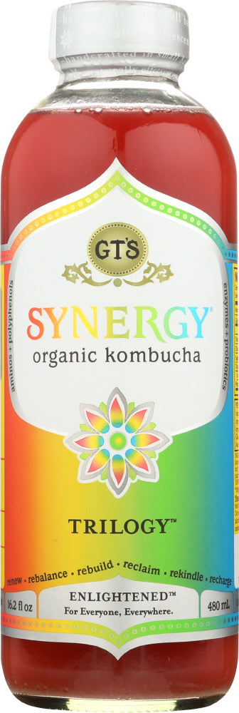 GTS ENLIGHTENED: Kombucha Enlightened Synergy Trilogy Drink, 16 fl oz