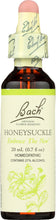 BACH ORIGINAL FLOWER REMEDIES: Honeysuckle, 0.7 oz