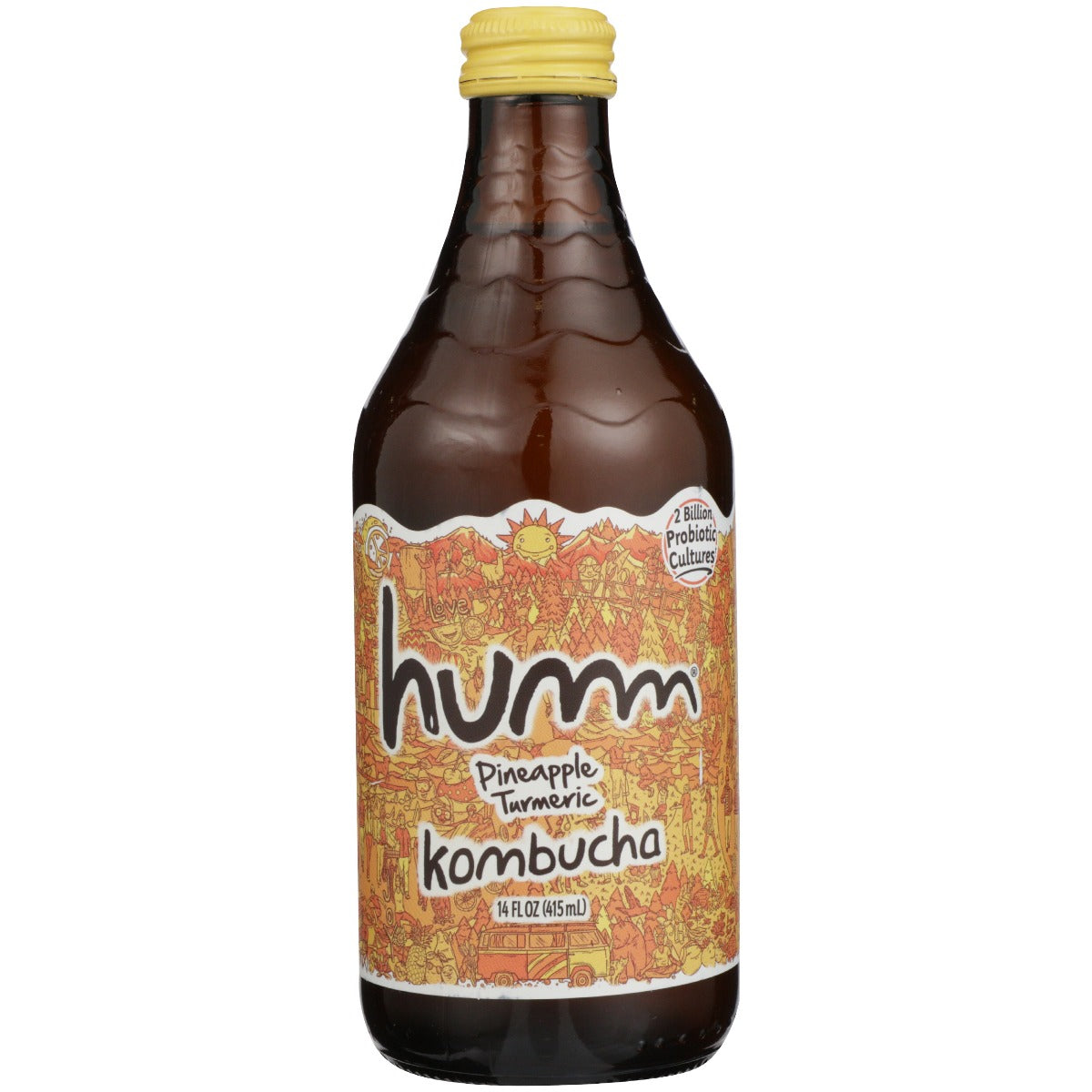 HUMM: Pineapple Turmeric Kombucha, 14 oz